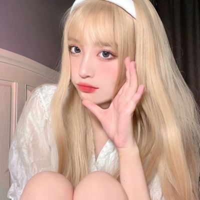 庇护所内购破解版下载